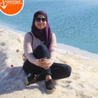 Safaa Rashwan