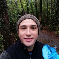 Cristian Esteban Moraga Valenzuela - Ingeniero en Gestión Logística