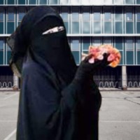 Vance Stokes
