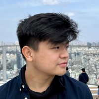 Hoang Dang-Vu