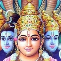 hariom shelke