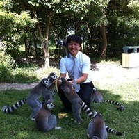 Tom kim