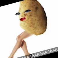 Mrs. Potato Head