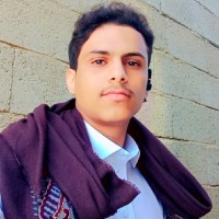 وسيم امين
