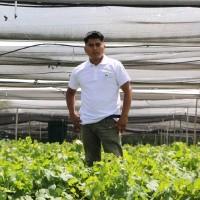 Gian Carlos Ramos Yovera