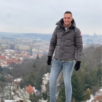 Sylven de Vreede