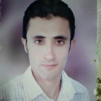 Amr Elnashar