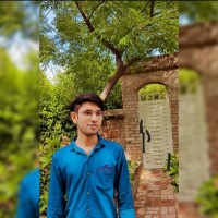 Mohammad Kaif Ali