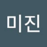 황미진