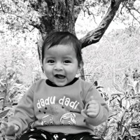 Davender Rawat