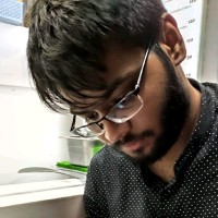 Aryan P Sathyan