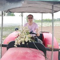 Wei Gu