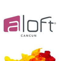Talentos Aloft Cancún