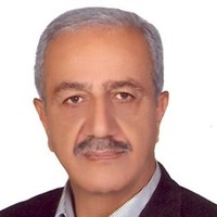 Hossein Alizadeh