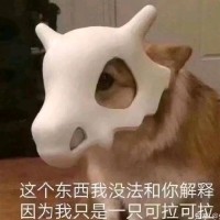 赵元豪