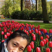 Junyi Wei