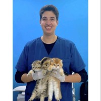 Dr Abdelrhman Montaser