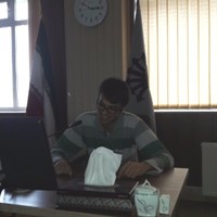 Mojtaba Mirzaei