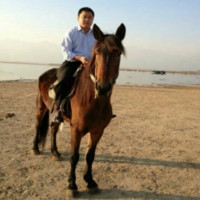 王小建