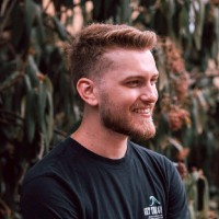 Blake Lewis