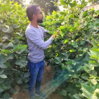 Bhadresh Chauhan