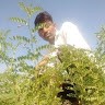 R.K. Rathi