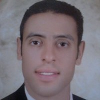 Ayman Haggag Sayed Abdelhalim