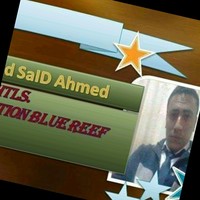 Mahmoud Said Ahmed