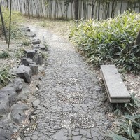 季春辉