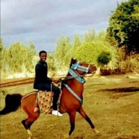 Ibsaa Nagahoo