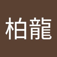 宋柏龍