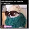 Rafa Ladi
