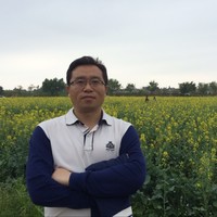 王龙辉