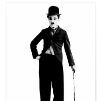 dominique chauvereau