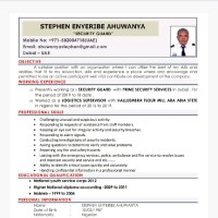 Stephen Enyeribe Ahuwanya