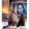 Martine Kelley