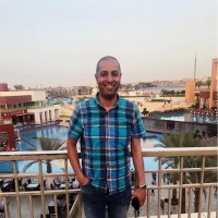 Mohamed abo el nasr -MBA