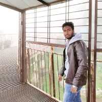 dhilip k