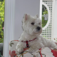 Jim Cody