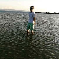 Stephen Murphy