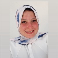 Noha Mohsen