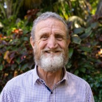 Dave Webb