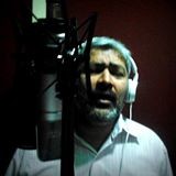 Aneesh P Roy