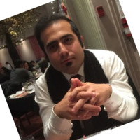 Seyed sajjad mohammadi