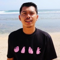 Dwi Rachmat Hidayat