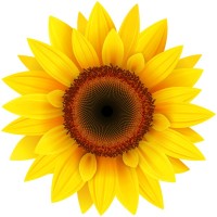 Lexington Smile Studio