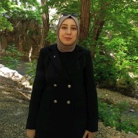 Hatice Çiğdem Bereket