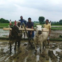 Soumya Ranjan Parida