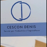 denis cescon
