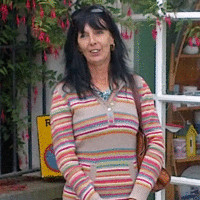 Julie Plastow